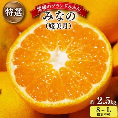 
            ＜2025年11月以降発送＞みなの共選の特選「みなの(旧:媛美月)」約2.5kg＜C28-36＞【1334191】
          