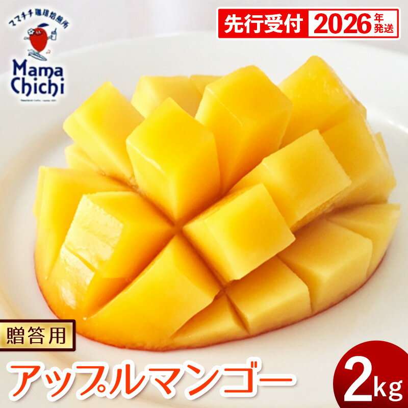 【ふるさと納税】【贈答用】【先行受付・2026発送】ママチチマンゴーファームの贈答用アップルマンゴー約2kg - 先行予約 沖縄県産 産地直送 南国フルーツ 旬の味覚 旬のフルーツ 贈り物 ギフト 沖縄県 八重瀬町