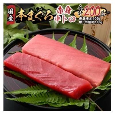 ふるさと納税 福井市 【市場直送】高鮮度急速冷凍 国産本まぐろ赤身&amp;中トロ2種セット 各約100g(柵) 合計約200g