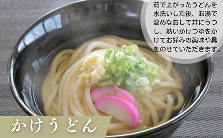 讃岐うどん さぬきうどん半生 つゆパック付 紀州屋 讃岐うどん【30人前】