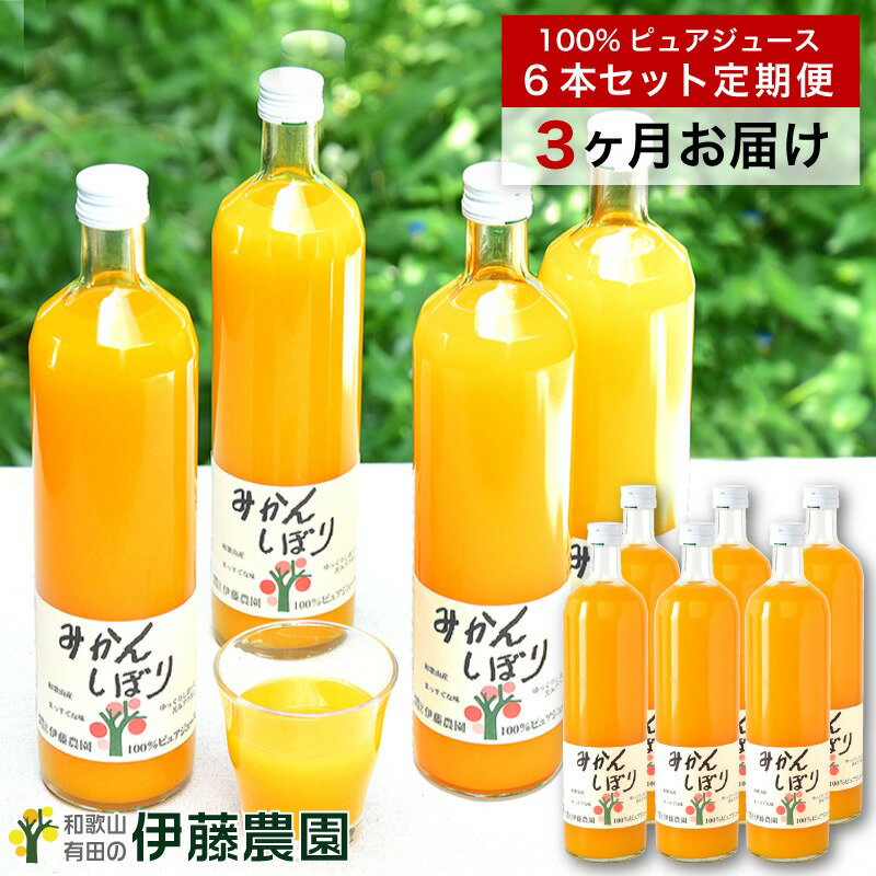 【ふるさと納税】【定期便】伊藤農園 みかんジュース大瓶6本セット(3ヶ月お届け)（A654-2）みかん ミカン 蜜柑 有田みかん 有田ミカン 有田蜜柑 ありだみかん みかんジュース 和歌山県 有田市 有田 フルーツ 果物 みかん加工品 濃厚 定期便 飲むゼリー
