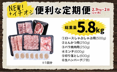 豚肉 バラエティセット【2回定期】 合計約5.8kg(2.9kg×2回)《申込み翌月から出荷)》 豚肉豚肉豚肉豚肉