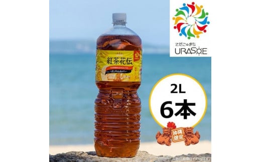 
【沖縄限定販売！】紅茶花伝ガーデンレモンティー2L×6本
