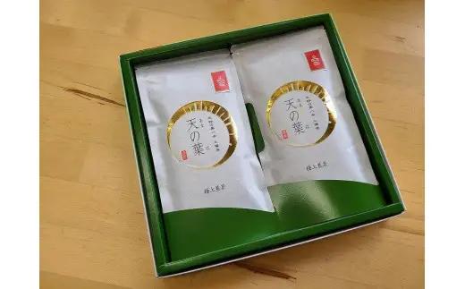 奥八女上陽茶　極上煎茶「天の葉」100ｇ×2本セット箱 茶 お茶 八女茶 緑茶 福岡県 八女市 178-002