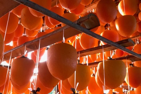 先行予約 令和7年産 ころ柿 1kg 化粧箱 柿 干し柿 【12月中旬頃より順次発送】