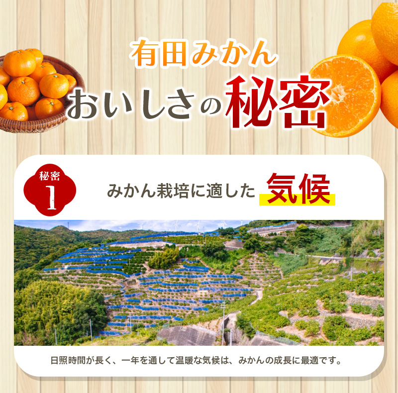 【2025年12月発送予約分】＼光センサー選別／農家直送 こだわりの有田みかん 約2kg＋250g(傷み補償分)【ご家庭用】【12月発送】みかん ミカン 有田みかん 温州みかん 柑橘 有田 和歌山 ※