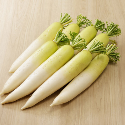 
            ＜北海道産＞十勝「清流だいこん」10kg ブランド 大根 自然の力を活かした健康野菜【1482857】
          
