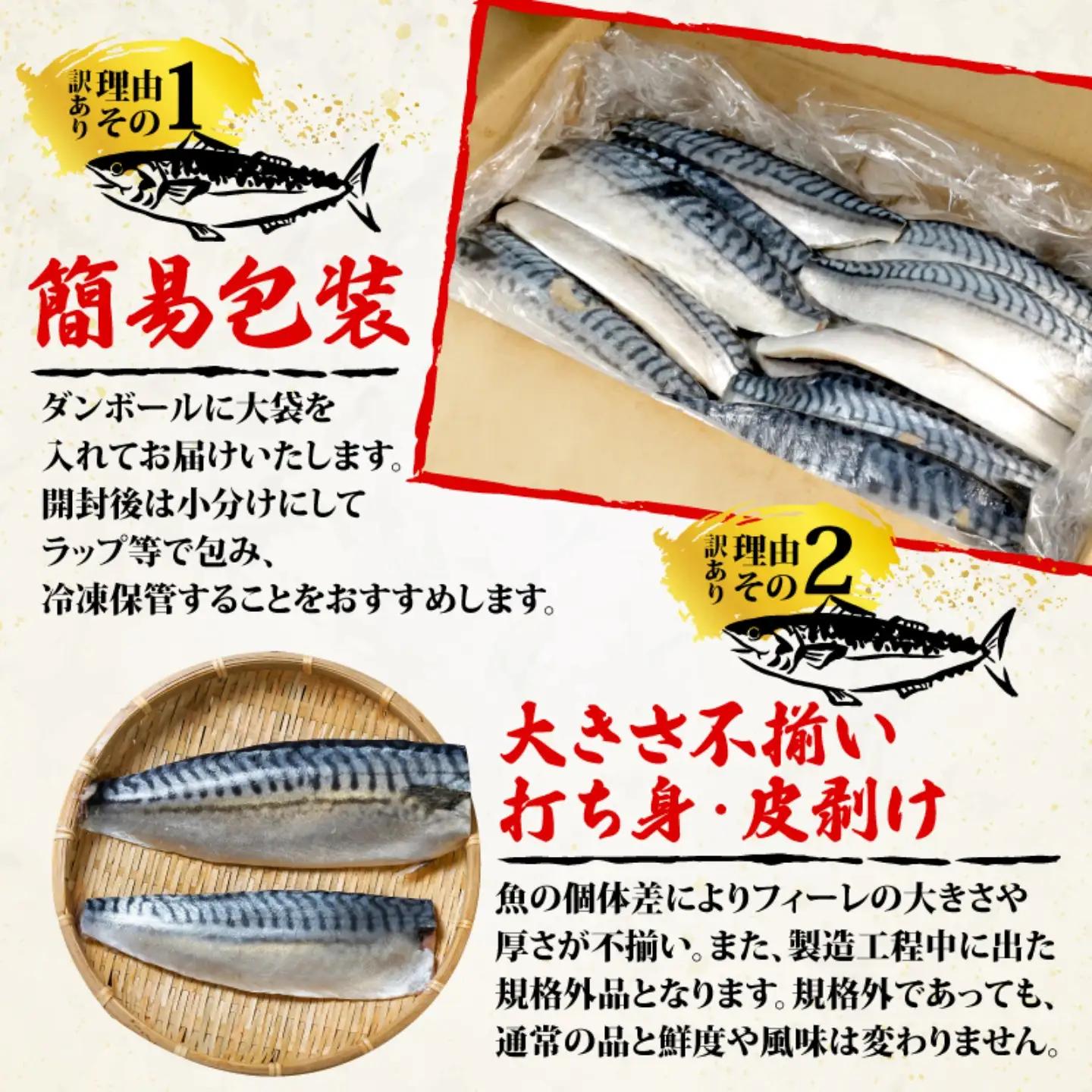 訳あり 塩鯖 2kg 鯖