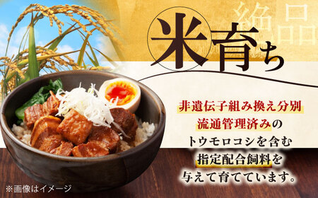 【全2回定期便】三元豚 肩ロースブロック1.2kg（600g×2パック）《喜茂別町》【平田牧場】 肉 豚肉 ロース ブロック ローストポーク 煮豚 酢豚 煮物 冷凍配送[AJAP114]