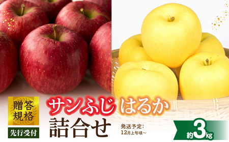 《先行受付》贈答規格「サンふじ」「はるか」約3kg詰合せ（特秀～秀）【2025年12月上旬～発送予定】【大江町産・山形りんご・りんご専科 清野】 015-064