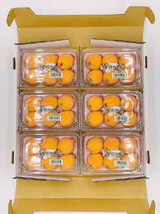 びわ 唐川びわ 先行予約 350g×6パック入り【2025年5月下旬以降発送】｜B124