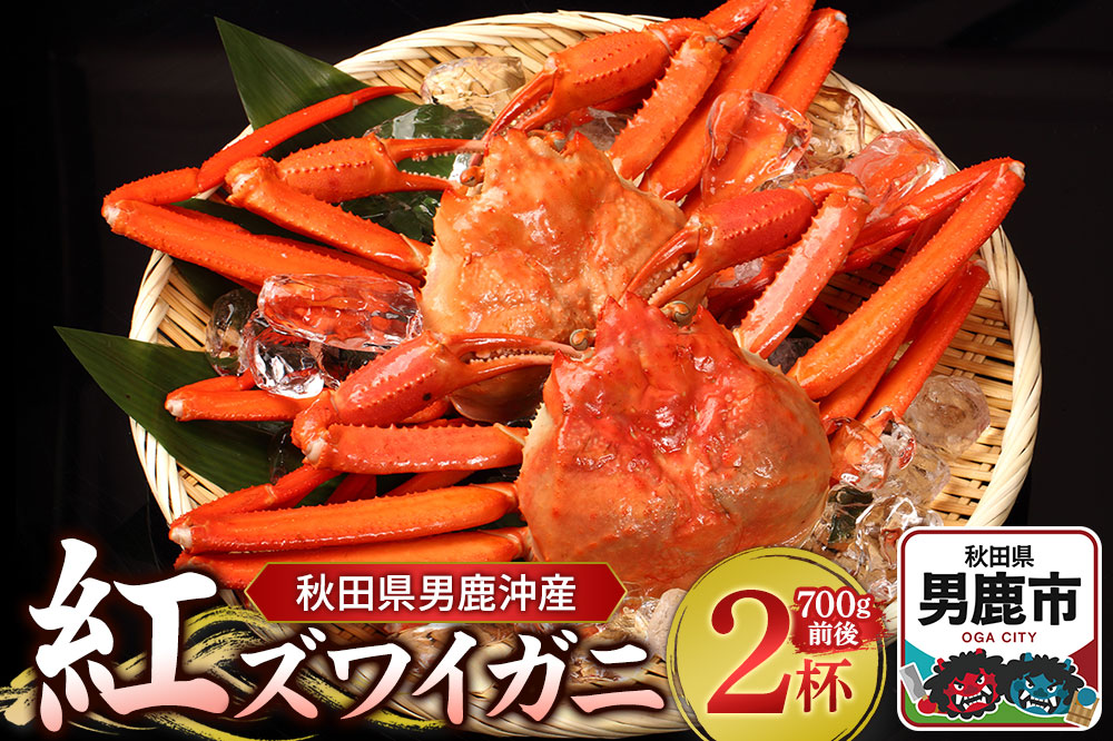 男鹿沖産紅ズワイガニ 700g 前後×2杯 男鹿なび 蟹 カニ 国産 秋田 ずわい蟹 ずわいガニ|23_ogn-170201