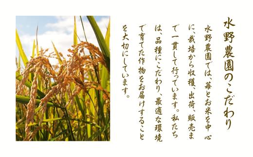 【令和８年産】　先行予約受付中！水野農園の加須市北川辺産　コシヒカリ　10kg　《選べる！精米or玄米》｜お米　米　令和８年　こしひかり