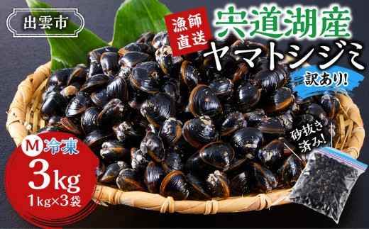 
                  【3月31日迄 Lサイズ 300g増量!! 訳あり】漁師直送！宍道湖産 ヤマトシジミ・Mサイズ 冷凍 3kg｜ヤマトシジミ 宍道湖産 しじみ 蜆 貝 冷凍 味噌汁 しじみ汁 砂抜き 大粒 奥宇賀屋 ふるさと納税 人気 おすすめ 出雲市
                