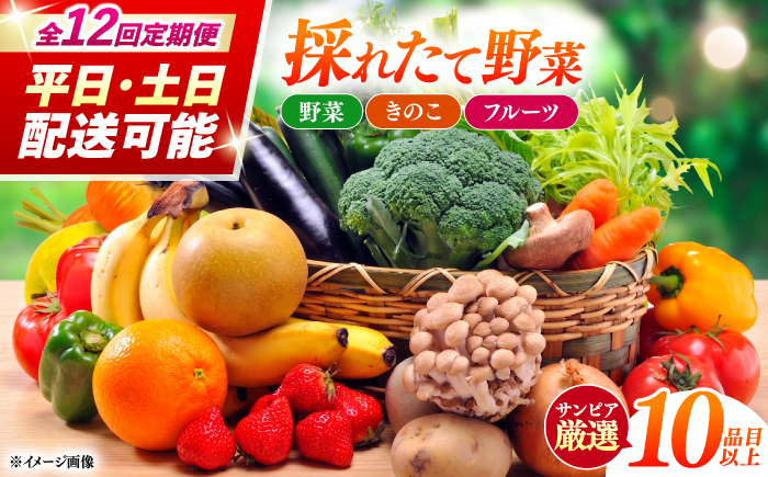 【12回定期便】＜配送時期が選べる＞採れたて野菜 お楽しみ便 （ 野菜 果物 きのこ 10品目以上 ） 野菜 フルーツ やさい 野菜セット 野菜定期便 旬 定期便 毎月 / 南島原市 / サンピア [