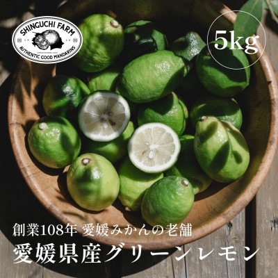 【防腐剤・ワックス不使用】愛媛県産グリーンレモン【D70−48】【1550660】