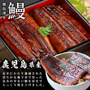 鹿児島県産 霧島湧水鰻3尾(1尾156g)×里山牛100%手作りハンバーグ4個(1個100g) (総計860g以上) うなぎ 鰻 ウナギ 蒲焼き 真空パック うな丼 鰻重 牛 牛肉 鹿児島県産 国産 