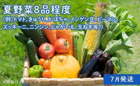 「ベジーズ館」の夏・冬野菜　年２回コース （7月と12月発送）｜【野菜定期便・野菜・定期便・冬野菜・夏野菜・野菜セット・旬の野菜・兵庫野菜・相生野菜・国産野菜・野菜詰め合わせ・冬野菜詰め合わせ・夏野菜