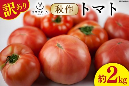 【2026年10月下旬-12月下旬発送予定】 秋作 訳あり 桃太郎トマト 2kg [ヨダファーム]  