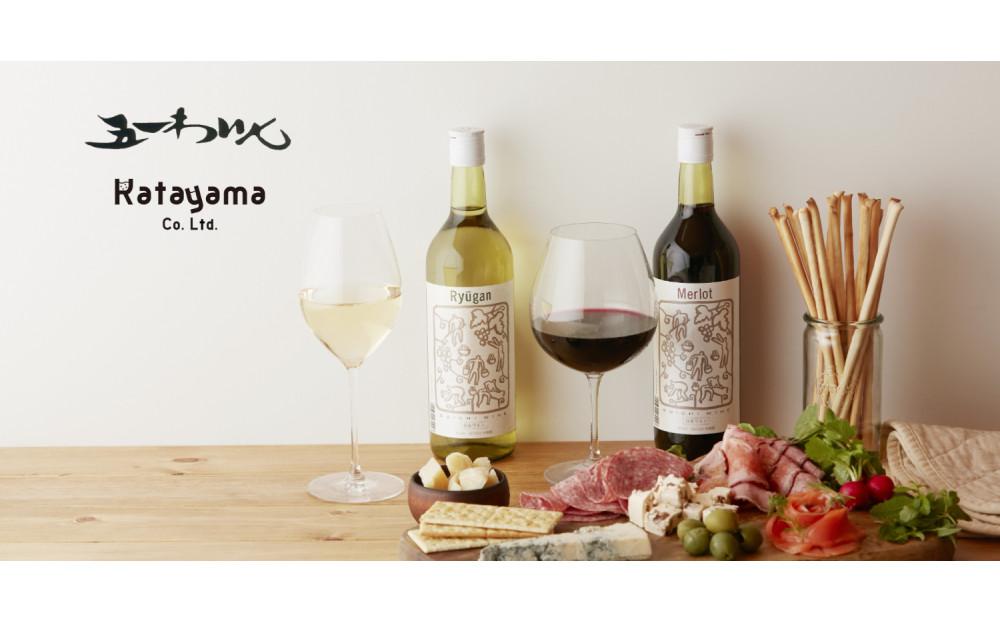 林農園 五一わいん 酸化防止剤無添加 コンコード 赤 やや甘口 720ml 2本 発売元 株式会社片山