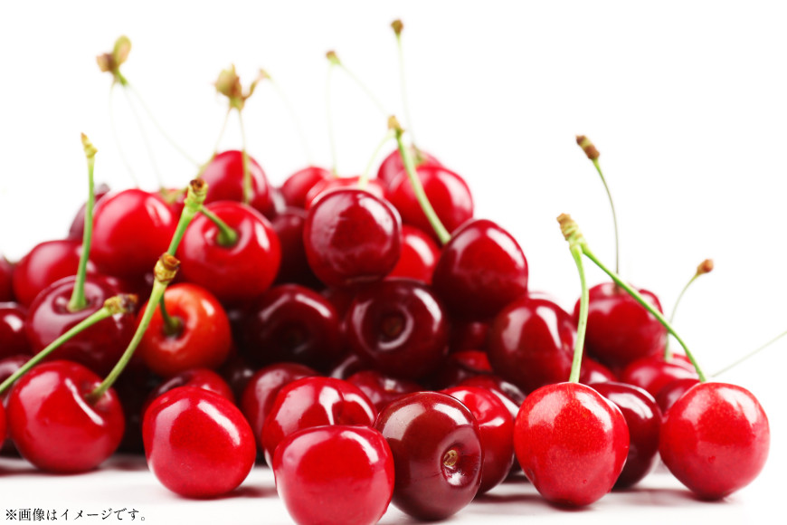 
            【期間限定発送】 さくらんぼ 置賜産 紅秀峰 特秀 2L～3L 500g 化粧箱入り [JA山形おきたま 山形県 高畠町 tk06ays870013] サクランボ チェリー 山形 果物 フルーツ くだもの
          