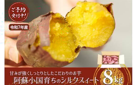 【下巣畑農産】先行予約 令和7年産 熟成『小国シルクスィート』8kg