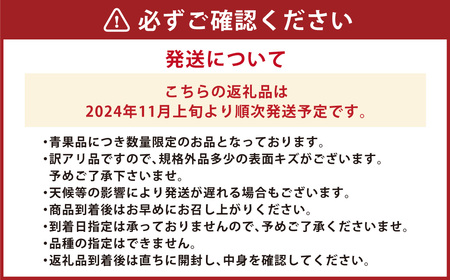 【11月上旬～2月上旬発送】長崎県産 訳あり 伊木力系温州みかん10kg ／ 果物 くだもの フルーツ 柑橘 蜜柑 ミカン 温州みかん 青果品 国産 大将農園 長崎県 長崎市