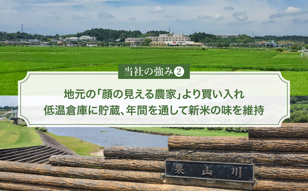 【令和7年産】多古町産いのちの壱 精米10kg(5kg×2袋)【配送不可地域：離島・沖縄県】 TAKE005