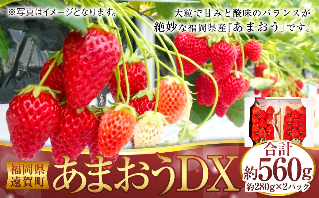 
                  あまおうDX 約250～270g×2パック あまおう いちご イチゴ 苺 果物 くだもの フルーツ 【2027年2月上旬～4月下旬発送予定】
                
