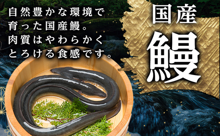 【父の日】職人手焼きの本格うなぎ蒲焼き4尾≪6月18日～21日お届け≫_AD-3301-FG_ (都城市) 国産 本格 うなぎ 鰻 蒲焼 うなぎ