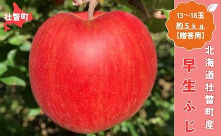 ＜10月中旬頃よりお届け＞北海道壮瞥産りんご 早生ふじ 約5kg(13～18玉)【贈答用】SBTK014