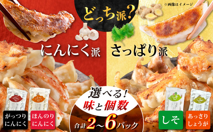 
            【あなたはどっち派？】選べる餃子2種セット！【餃子屋ヒロ】開成町 餃子　点心 惣菜 冷凍 [BDAS008]
          