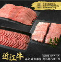 【ふるさと納税】近江牛 定期便 3回 希少部位 焼肉 食べ比べコース【 近江牛 食べつくし 牛肉 焼肉 ステーキ すき焼き 国産 滋賀県 和牛 牛肉 定期便 送料無料 】