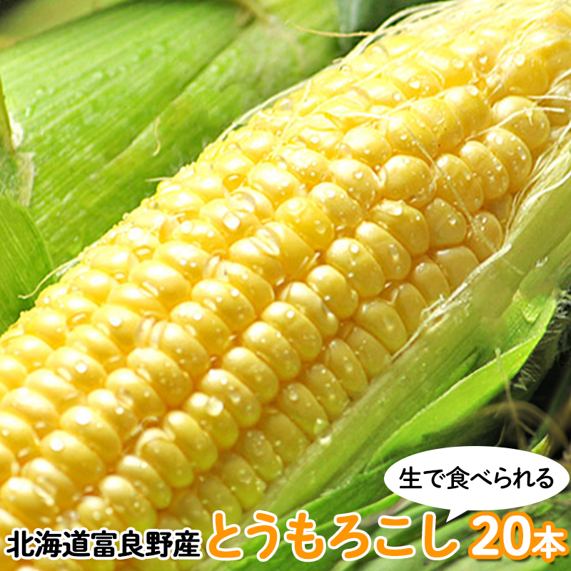 【2026年夏発送】富良野産 生で食べられる とうもろこし【恵味（めぐみ）】 20本 野菜 コーン