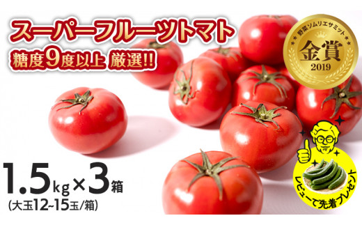 
スーパーフルーツトマト 中箱 1.5kg × 3箱 【大玉 12～15玉/1箱】 糖度9度 以上 野菜 フルーツ トマト フルーツ トマト とまと [AF066ci]
