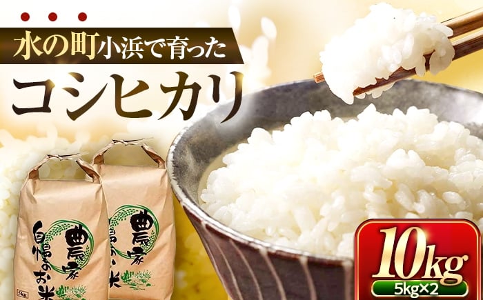 
                  小浜のコシヒカリ 10kg（5kg×2袋）/ 白米 精米 国産米 福井県 小浜市 / 市左ヱ門米屋 [BFEN001]
                