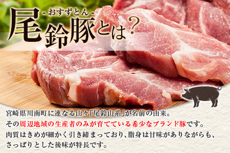【PREMIUM PORK】 尾鈴豚 ハム ソーセージ 詰め合わせ 合計1,305g 8種 Bセット 宮崎県産