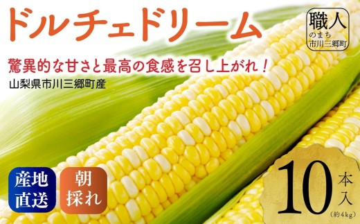 2027年発送！【山梨県市川三郷町産】Inakakara「ドルチェドリーム」10本入 ｜ 先行予約 先行受付 先行 ドルチェドリーム ドルチェ トウモロコシ とうもろこし スイートコーン 旬 季節 夏野菜 野菜 産地直送 採れたて 朝採り 山梨 市川三郷町 市川三郷 BBQ 甘い [5839-2165]