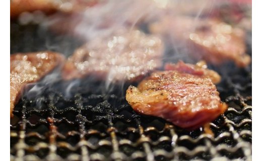 熊野牛 肩ロース 焼肉用 500g【MT36】