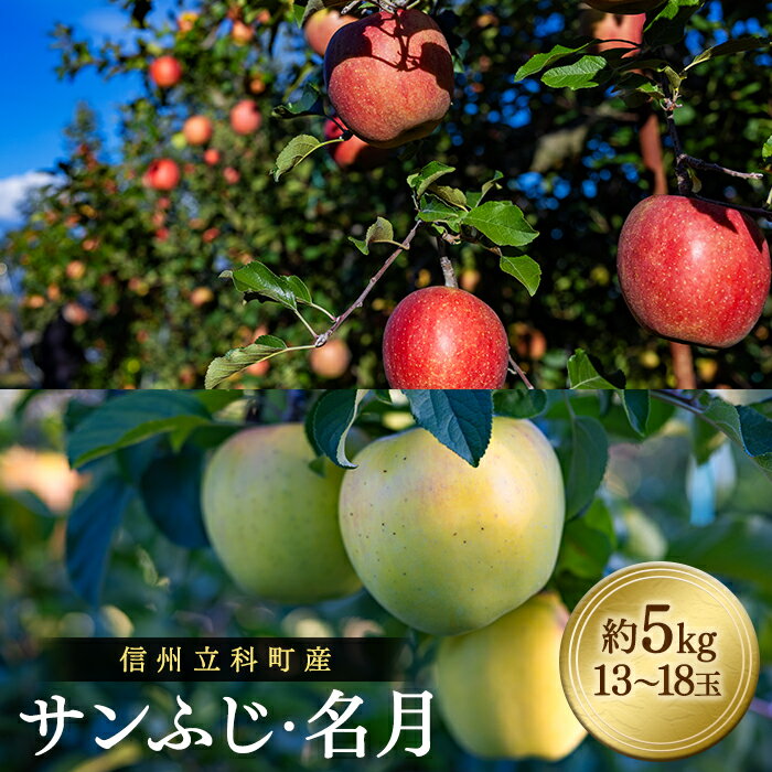 【ふるさと納税】サンふじ・ぐんま名月ミックス（約5kg、優13〜18玉）| 果物 フルーツ りんご サンふじ ぐんま名月 ふるさと 信州 長野県 立科町 蓼科