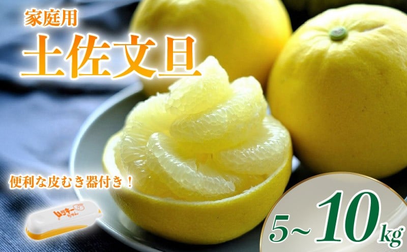
                  文旦 土佐文旦 5~10kg L~3L サイズ（ 家庭用 ）ムッキーちゃん 付き 柑橘 柑橘類 フルーツ 文旦 ぶんたん ブンタン 土佐文旦 果物 くだもの デザート フルーツセット 産地直送 大玉 小玉 季節限定 お裾分け 分担 2万円以内 20000円 丸昭果樹園 高知柑橘 高知県 黒潮町
                