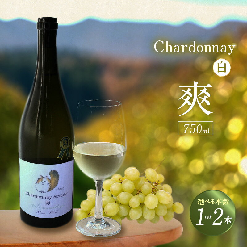 【ふるさと納税】Chardonnay 2024/2025 爽 白ワイン 750ml【選べる本数（1本・2本）】東浦町の畑で大切に育てられたシャルドネから造ったワインです。 シャルドネ 無添加 無濾過 国産 日本ワイン パーティー 亜硫酸塩(酸化防止剤)無添加 送料無料 [AH008]