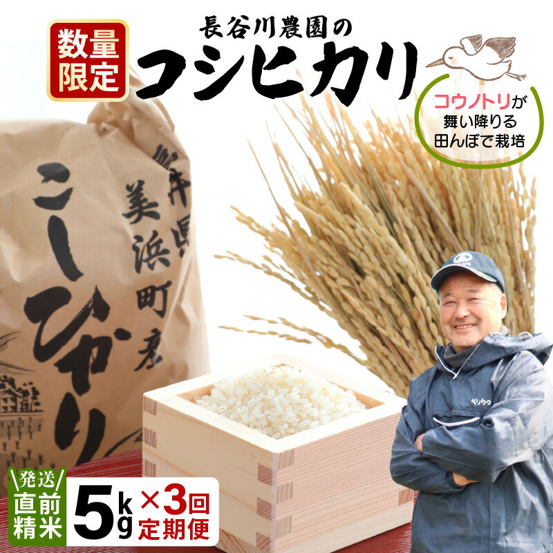 【ふるさと納税】【令和7年産・新米】定期便 ≪3ヶ月連続お届け≫ 長谷川農園の コシヒカリ 白米 5kg × 3回 (計15kg) 【お米 こしひかり 5キロ 精米 ブランド米 ふるさと納税米 産地直送】