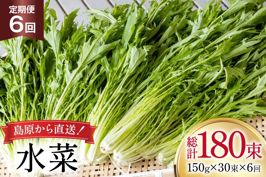 BI339 定期便 6回 水菜 30束 [ 野菜 みずな サラダ やさい 冷蔵 葉物野菜 田中農園 長崎県 島原市 ]