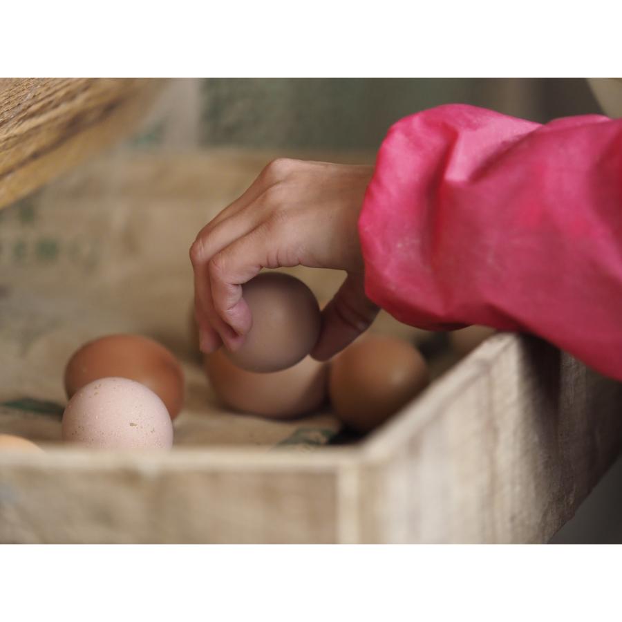 ＜カヤニファーム＞宗谷のしおかぜたまご10個入×3ケース