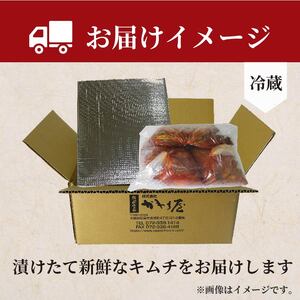 【 旨辛 】 中辛 白菜 キムチ 1kg+ 大根キムチ 500g 計1.5kg  小分け