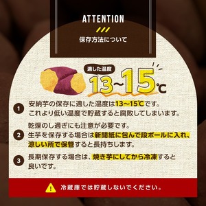 n176 ＜先行予約受付中！2025年10月中旬頃より順次発送予定＞種子島産 安納芋(5kg) 国産 安納芋 本場 種子島 芋 イモ いも さつまいも さつま芋 安納いも 野菜 【永濱農園】