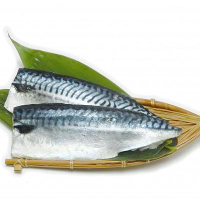ふるさと納税 神栖市 【訳あり】塩さば　どーんと!　4.8kg |  | 01