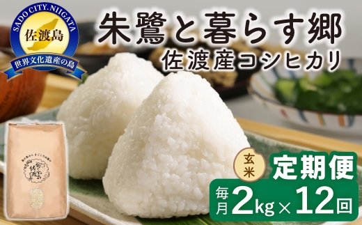 【定期便 令和8年産新米 12か月】 佐渡島産コシヒカリ 玄米 2kg 令和8年産新米 特別栽培米 | 新潟県産コシヒカリ 新潟産コシヒカリ 佐渡産コシヒカリ 新潟県産こしひかり 佐渡産こしひかり お米 米 こしひかり 玄米 げんまい おこめ コメ 2キロ にいがた さど 新潟県 佐渡市