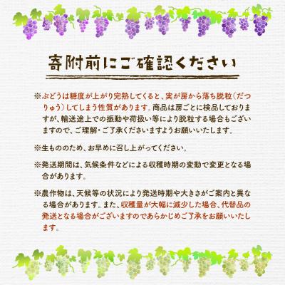 ふるさと納税 東根市 2026年ぶどう「シャインマスカット&ピオーネ 」各1房(計2房 約1.2kg) hi027-236 |  | 02